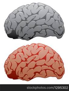 vector set of human brains