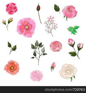 Vector set of isolated Rose buds with leaves. Handmade watercolor style illustration of flowers. Beautiful realistic vector elements for invitation, wedding or greeting cards