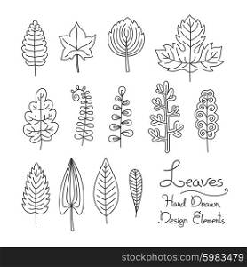 Vector set of leaves in cartoon style. Vector set of leaves of hand drawn in cartoon style