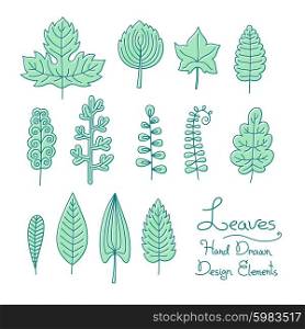 Vector set of leaves in cartoon style. Vector set of leaves of hand drawn in cartoon style