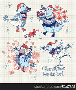 vector set of pretty Christmas birds