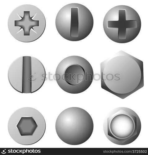 Vector set of screws, bolts and rivets isolated on white background.