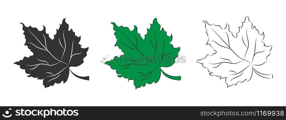 Vector set of silhouette contour and the green leaf of a plant isolated on a white background for theme design. Flat style.