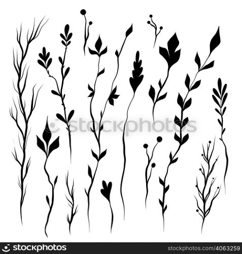 Vector set of silhouette of twigs and stems with foliage isolated from background. Nature black clipart collection for stickers and design elements. Kit with hand drawn wild herbs.. Vector set of silhouette of twigs and stems with foliage isolated from background. Nature black clipart collection
