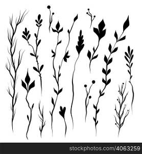 Vector set of silhouette of twigs and stems with foliage isolated from background. Nature black clipart collection for stickers and design elements. Kit with hand drawn wild herbs.. Vector set of silhouette of twigs and stems with foliage isolated from background. Nature black clipart collection