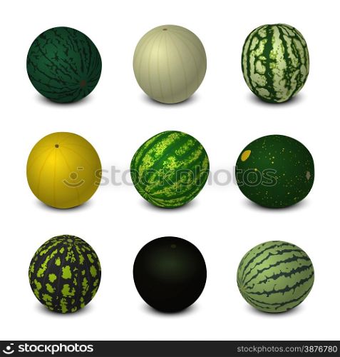 Vector set of the different varieties of the whole watermelons. Isolated objects