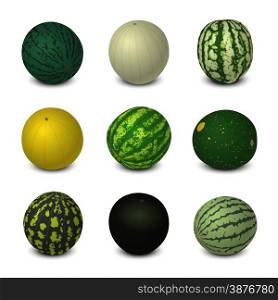 Vector set of the different varieties of the whole watermelons. Isolated objects