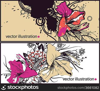 vector set of two floral cards with colorful gladioluses