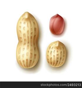 Vector set of whole peanuts with shell close up top view isolated on white background. Set of peanuts