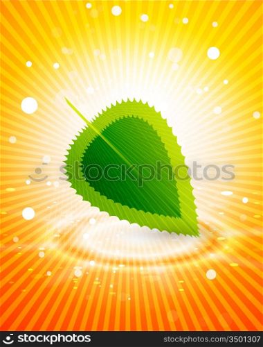Vector shiny background with leaves