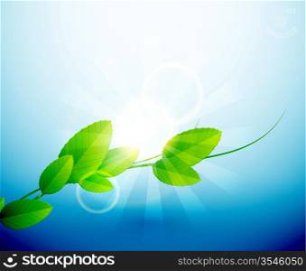 Vector shiny branch of leaves | nature abstract background