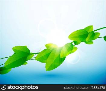Vector shiny branch of leaves | nature abstract background