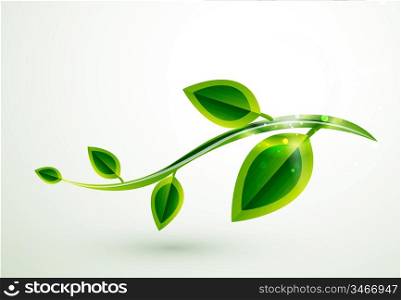 Vector shiny green leaves