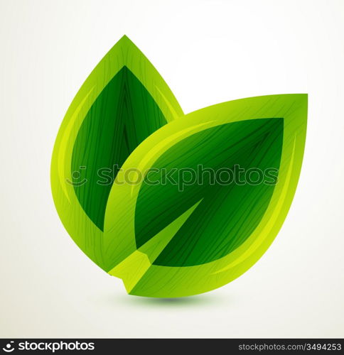 Vector shiny green leaves