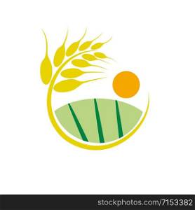 Vector sign wheat on white background
