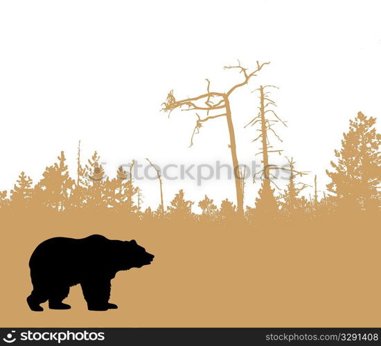 vector silhouette bear