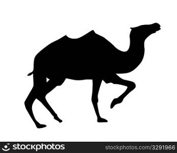 vector silhouette camel on white background