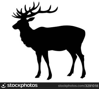 vector silhouette deer on white background