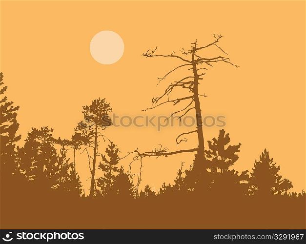 vector silhouette dry tree in wild wood