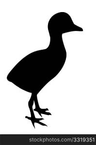 vector silhouette duckling on white background