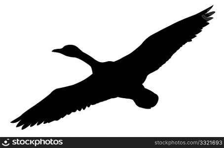 vector silhouette flying ducks on white background