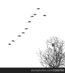 vector silhouette geese in sky and crow on tree