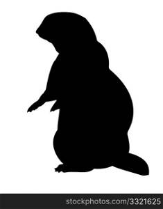 vector silhouette gopher on white background