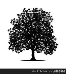 Vector silhouette of chestnut tree. Nature and ecology. Isolated vector silhouette of chestnut tree on a white background for social networks, posters, cards and more.. Vector silhouette of chestnut tree. Isolated vector silhouette of chestnut tree on a white background.
