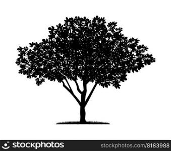 Vector silhouette of fig tree. Nature and ecology. Isolated vector silhouette of fig tree on a white background for social networks, posters, cards and more.. Vector silhouette of fig tree. Isolated vector silhouette of fig tree on a white background.
