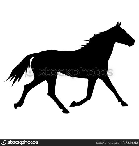 vector silhouette of horse