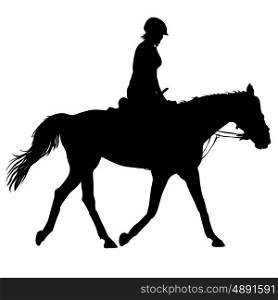 vector silhouette of horse and jockey. The vector silhouette of horse and jockey.