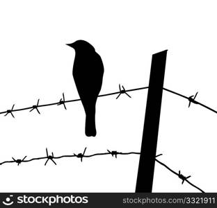 vector silhouette of the bird on barbed wire