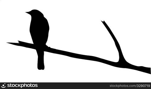 vector silhouette of the bird on branch
