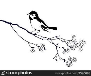 vector silhouette of the bird on branch tree