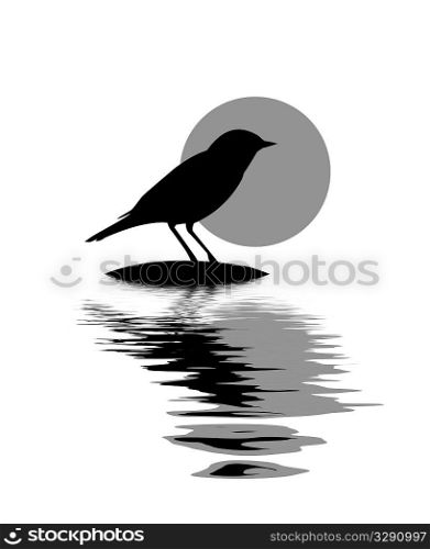 vector silhouette of the bird on stone amongst water