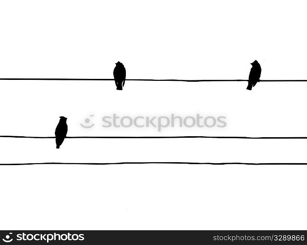 vector silhouette of the birds of the waxwings on wire