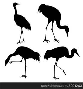 vector silhouette of the cranes on white background