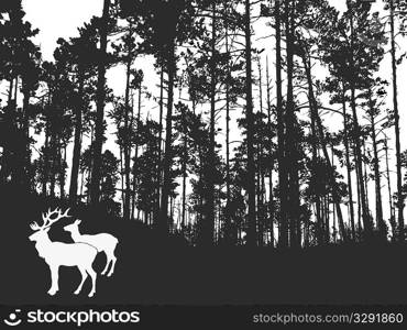 vector silhouette of the deers in thick wood