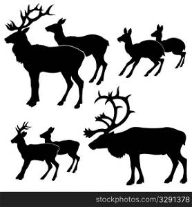 vector silhouette of the deers on white background