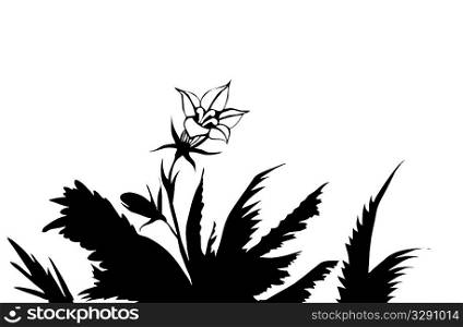 vector silhouette of the flower amongst herbs