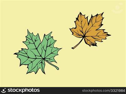 vector silhouette of the maple leaf on yellow background