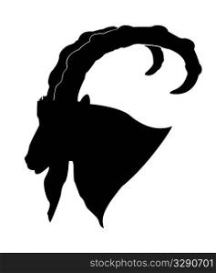 vector silhouette of the mountain ram on white background