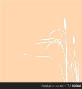 vector silhouette of the reed isolated on brown background