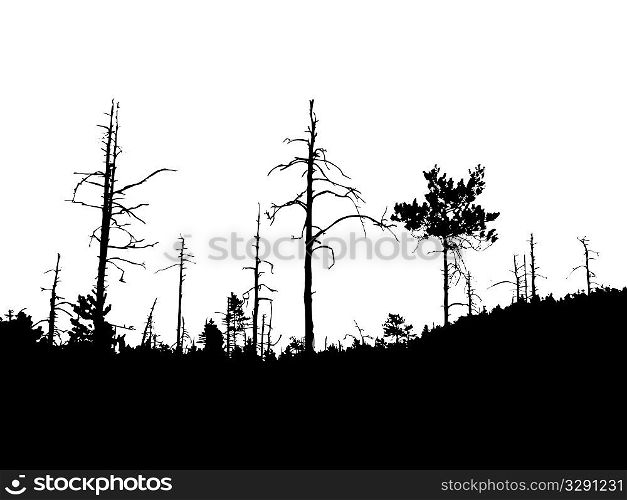 vector silhouette old dry wood