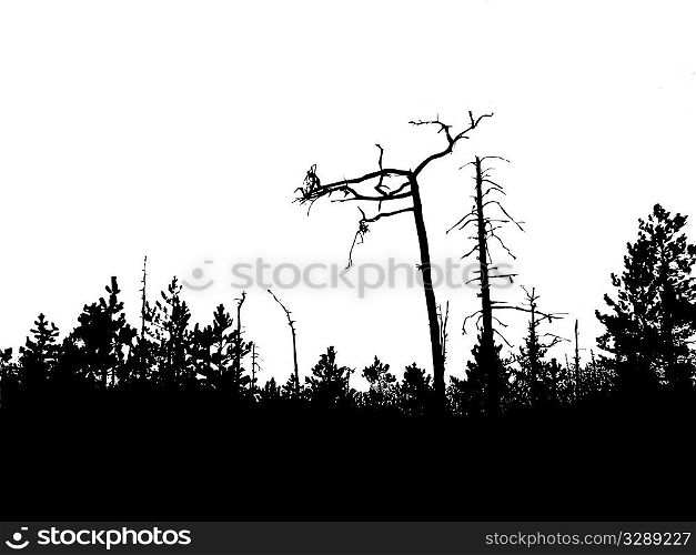 vector silhouette old wood