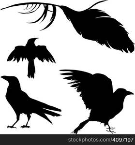 Vector silhouette set of a crow, raven, bird, and feather.