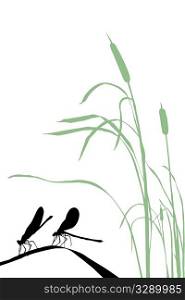 vector silhouette two dragonflies on herb
