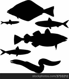 Vector silhouettes fish set