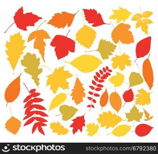 vector silhouettes of autumn leaves