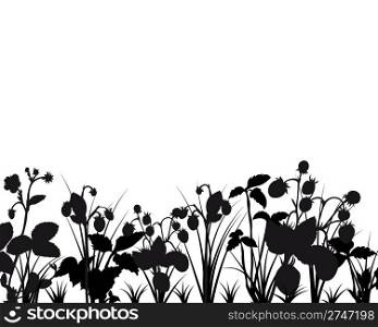 Vector silhouettes of strawberries and grass bushes